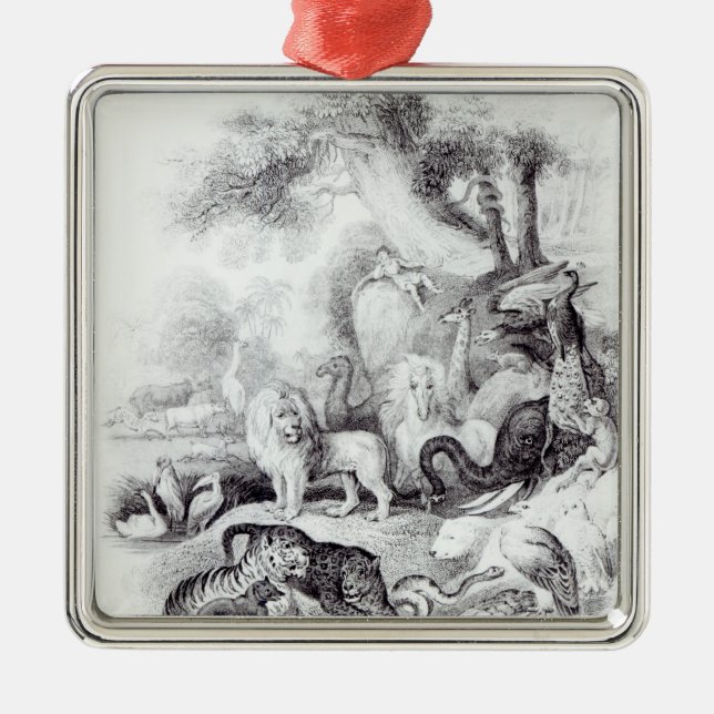 Ornement En Métal Animaux sauvages 'd'une histoire de la terre (Devant)