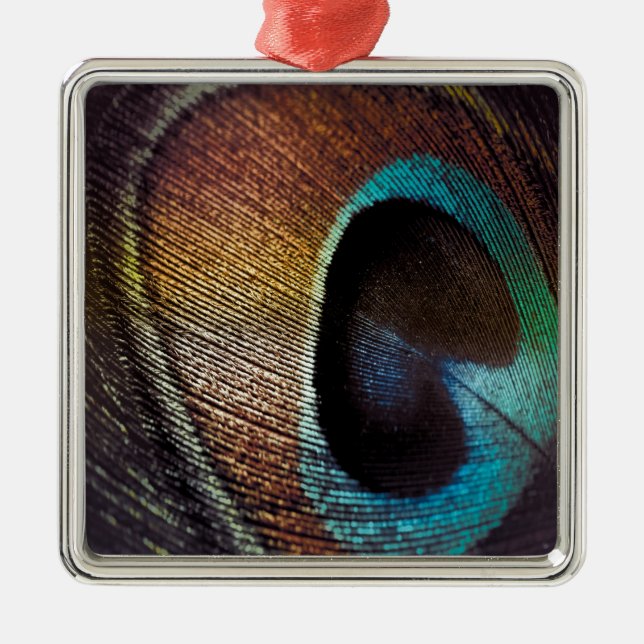 Ornement En Métal Antique Hues Peacock Feather Eye (Devant)
