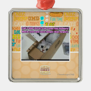 Ornement En Métal Appel 1-800-LOLCATS