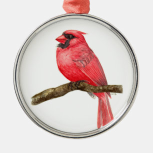 Ornement En Métal Aquarelle cardinale