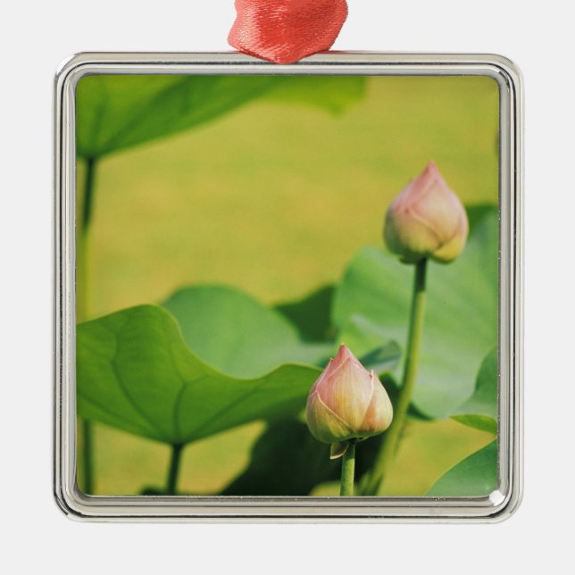 Ornement En Métal Asie, Thaïlande, Bangkok. Grand Palais, lotus (Devant)