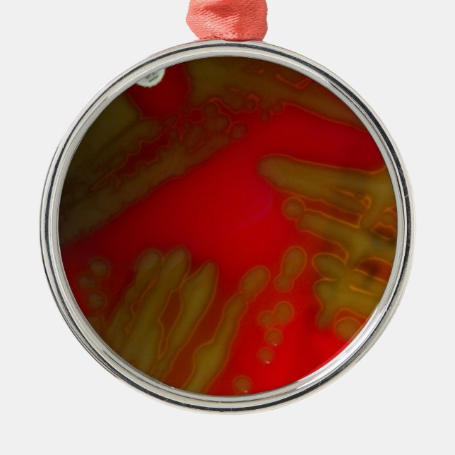 Ornement En Métal Bactéries de Penumonia (Devant)