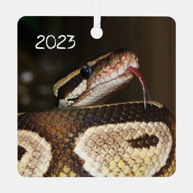 Ornement En Métal Ball Python Snake (Verso)