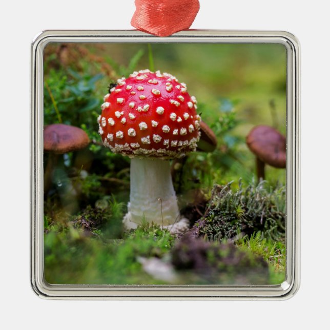 Ornement En Métal Beauté d'automne (Devant)