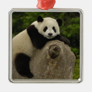 Ornement En Métal Bébé panda géant