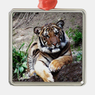 Ornement En Métal Belle et majestueuse coutume de tigre de Bengale