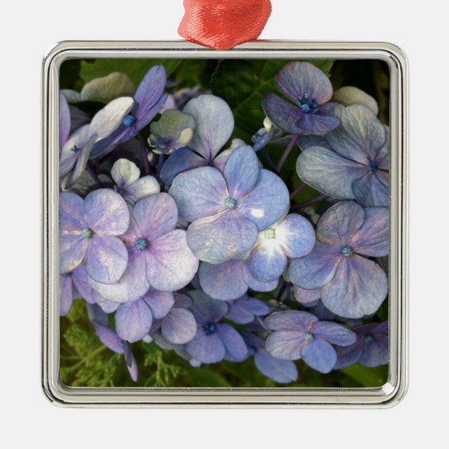 Ornement En Métal Blue Purple Hydrangea (Devant)