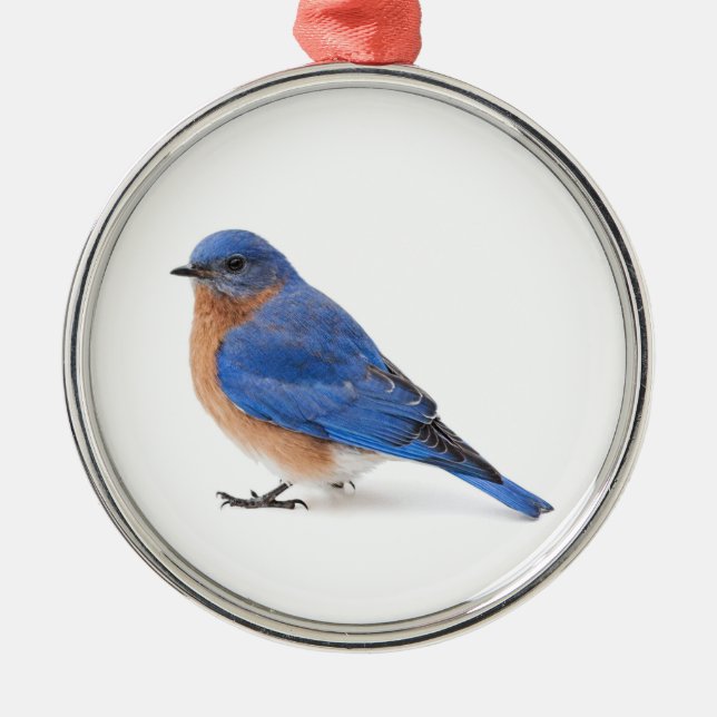 Ornement En Métal Bluebird (Devant)