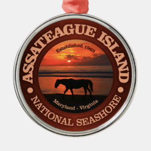 Ornement En Métal Bord de la mer de ressortissant d'île d'Assateagu
