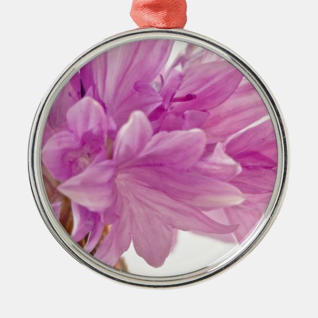 Ornement En Métal Bouton de mise à jour (Devant)