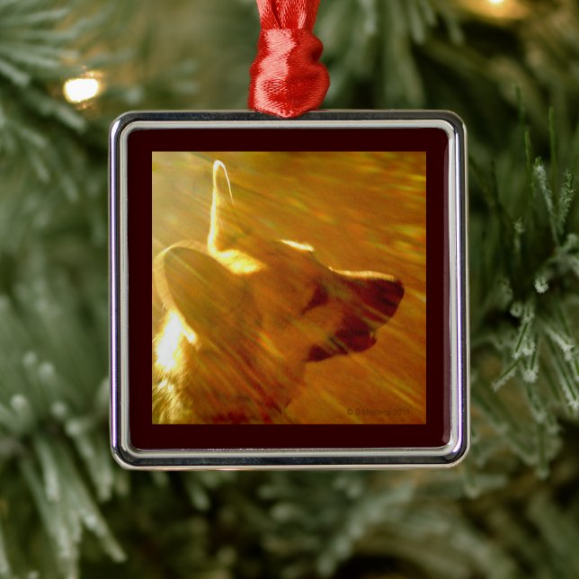 Ornement En Métal Brille sur moi Ciel Berger Allemand (Arbre)