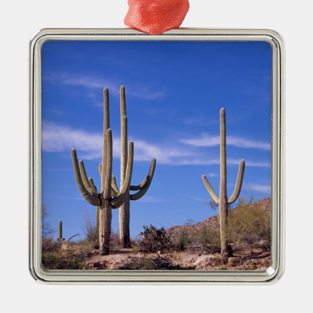 Ornement En Métal Cactus saguaro géant multi-bras, Saguaro (Devant)