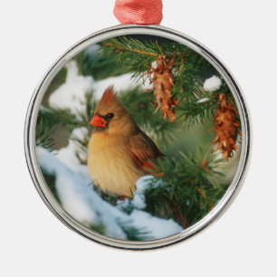 Ornement En Métal Cardinal du Nord dans l'arbre, Illinois