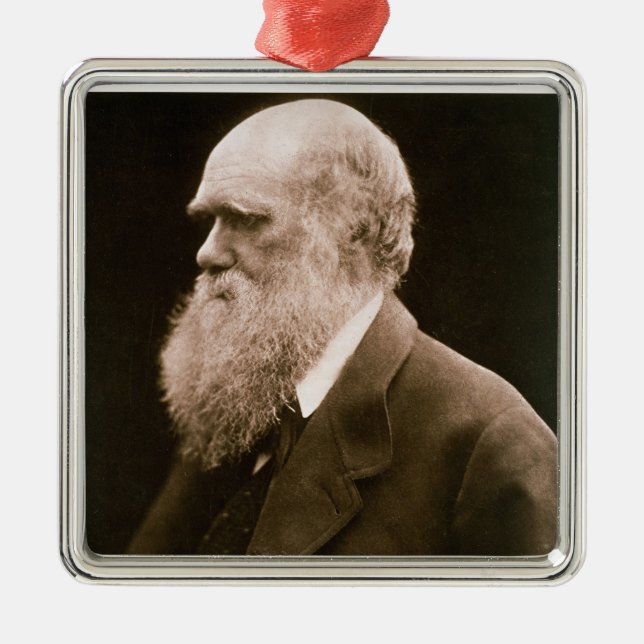 Ornement En Métal Charles Darwin (1809-82) (photo) (Devant)