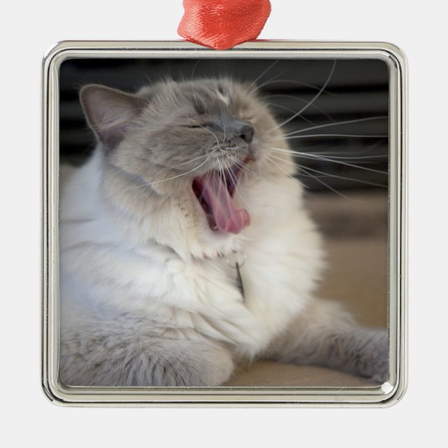 Ornement En Métal chat Neva Masquerade bâillant (Devant)
