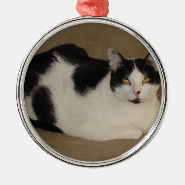 Ornement En Métal Chat Sur Un Canapé (Devant)