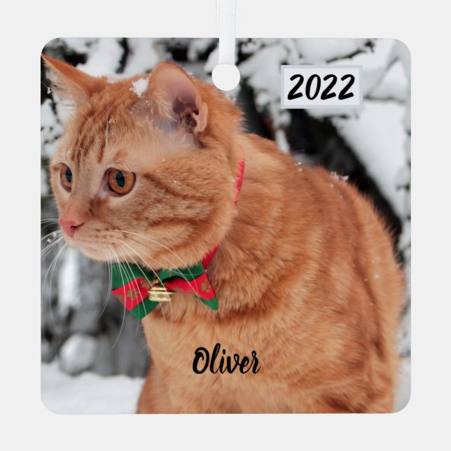 Ornement En Métal Chat Tabby orange dans la neige (Verso)