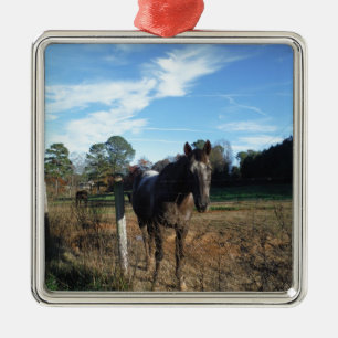 Ornement En Métal Cheval brun Coco et Crème
