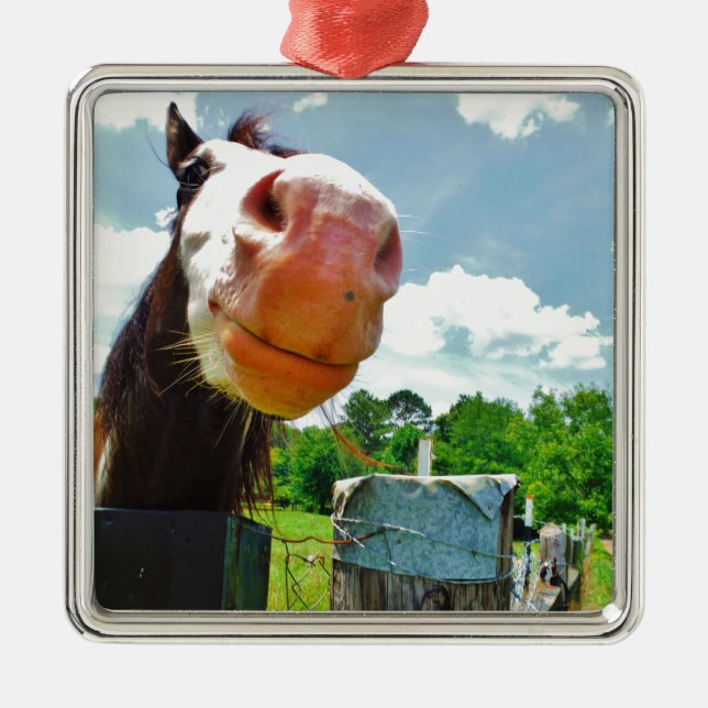 Ornement En Métal Cheval souriant (Devant)