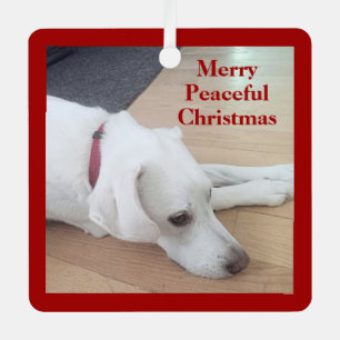 Ornement En Métal Chien mignon portant Rouge Coller étoile Noël Paix