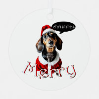 Chien noir Tandan Modachshund Face Père Noël Dachs