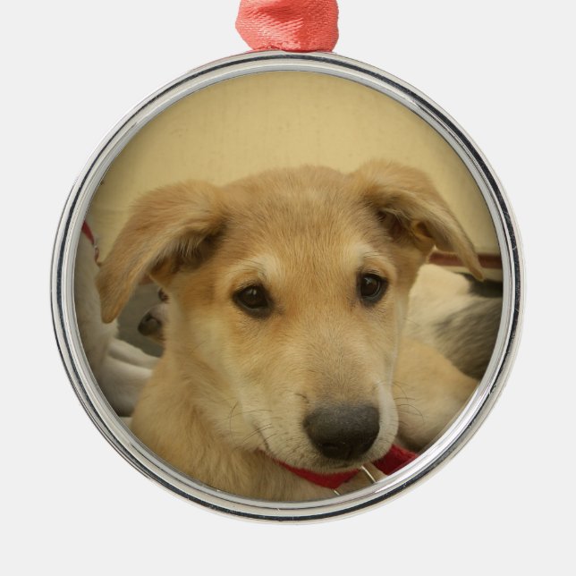 Ornement En Métal Chiens mignons et Chiens de marionnettes Mans deux (Devant)