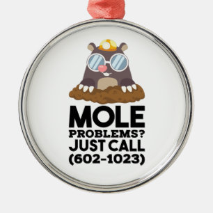 Ornement En Métal Chimie - Problèmes de mole