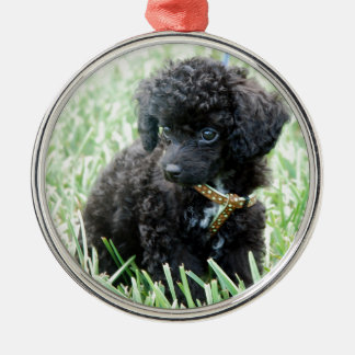 Ornement En Métal Chiot de caniche de jouet