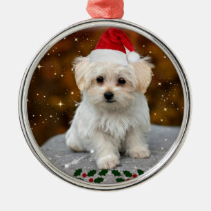 Ornement En Métal Chiot de Noël maltais