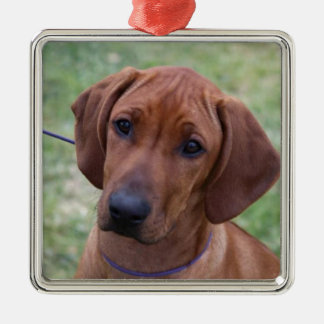 Ornement En Métal Chiot de Ridgeback