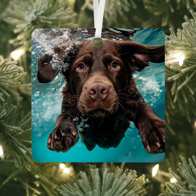 Ornement En Métal Chocolat Joueur Labrador nage sous l'eau (Insitu)