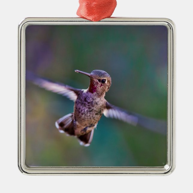 Ornement En Métal Colibri (Devant)