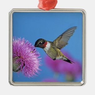 Ornement En Métal Colibri à gorge rubis