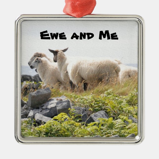 Ornement En Métal Conceptions originales - Moutons dans un champ (Devant)