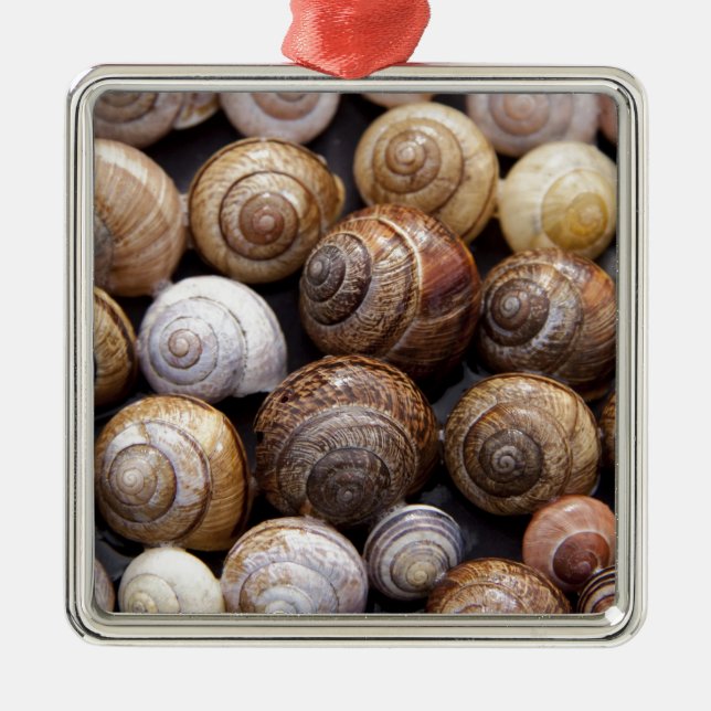 Ornement En Métal Coques des escargots (Devant)