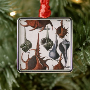 Ornement En Métal Coquillages vintages, Vie Marine, Coques de mer