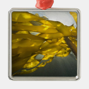 Ornement En Métal Côte sud de l'île d'Ewing, îles San Juan,