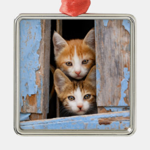 Ornement En Métal Cute chatte chatte dans une fenêtre Vintage bleue