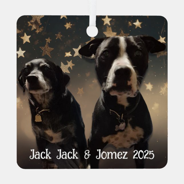 Ornement En Métal Cute Dog Photos Personalized Christmas (Verso)