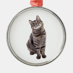 Ornement En Métal Cute tabby Cat