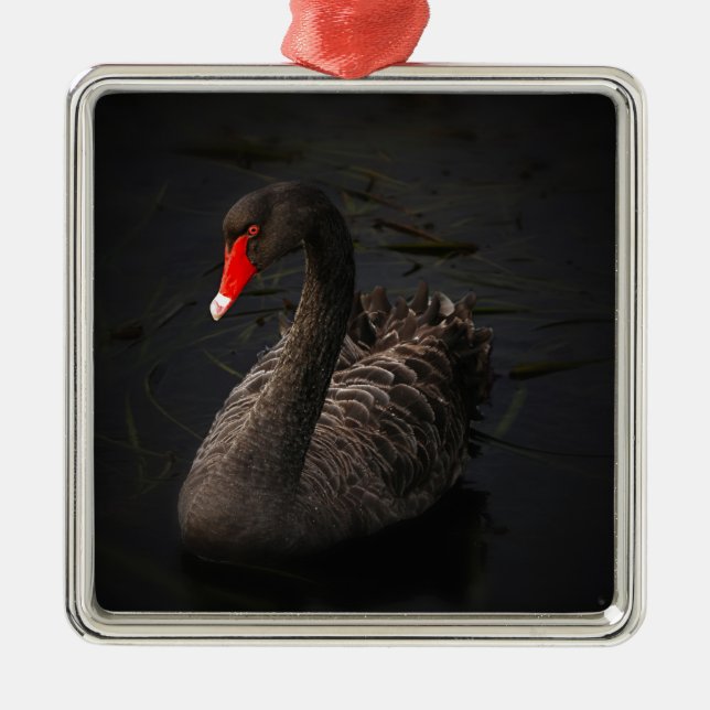 Ornement En Métal Cygne noir (Devant)
