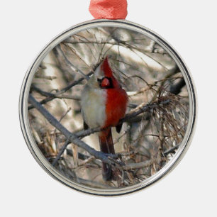 Ornement En Métal Demi de mâle d'oiseau cardinal sauvage, à moiti
