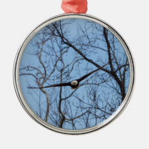 Ornement En Métal Droite Sur Aigle