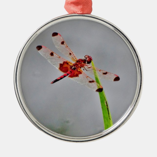 ORNEMENT EN MÉTAL DSC00029.JPG (Devant)