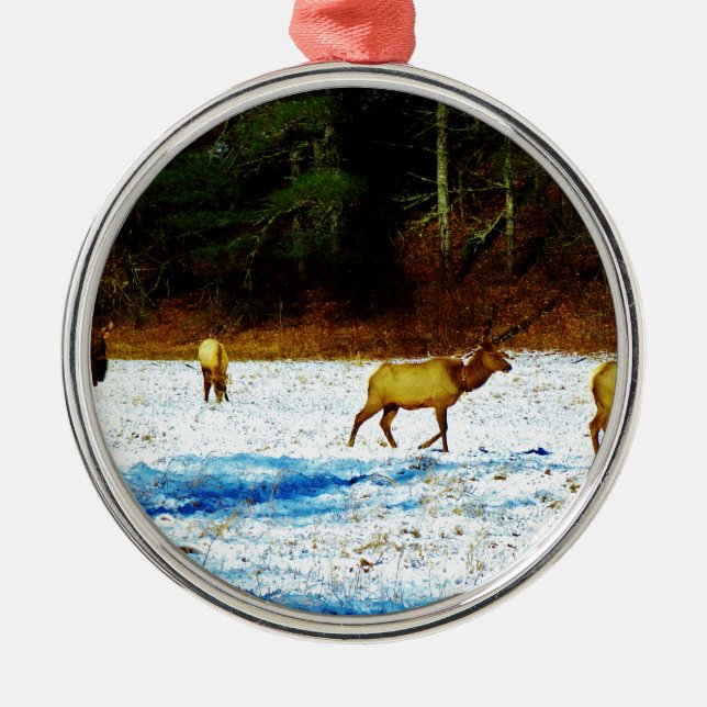 ORNEMENT EN MÉTAL DSC00131.JPG (Devant)