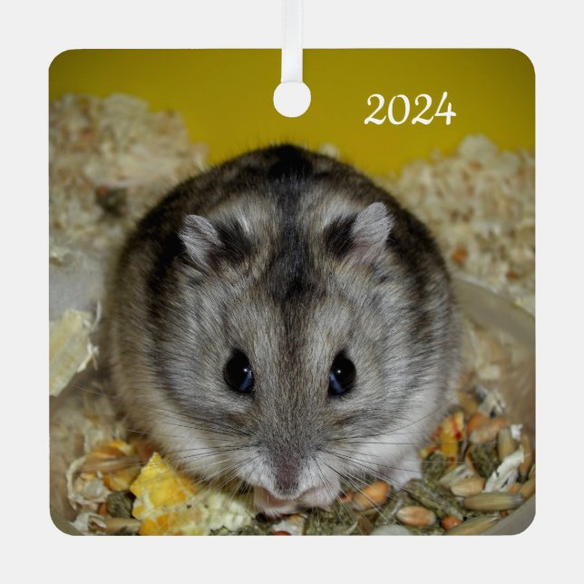 Ornement En Métal Dwarf Hamster Pet (Recto)