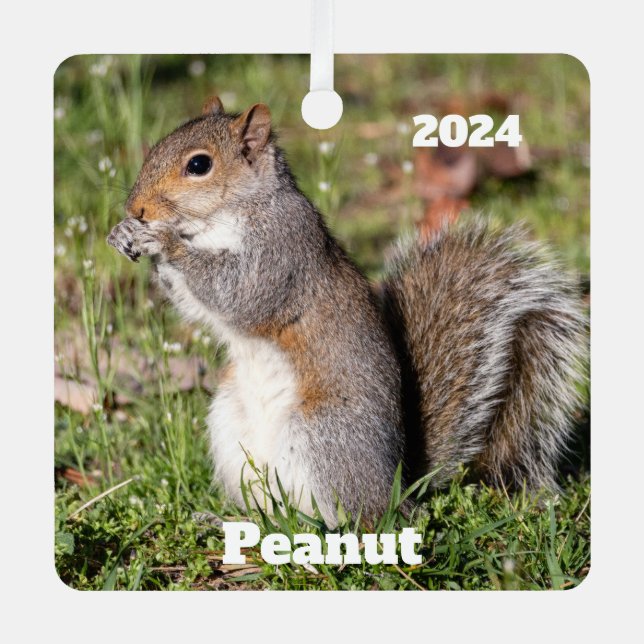 Ornement En Métal Écureuil gris personnalisé (Recto)