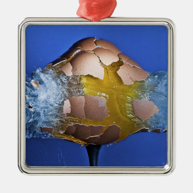 Ornement En Métal Eggceptional (Devant)