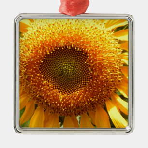Ornement En Métal Elégante photo de tournesol