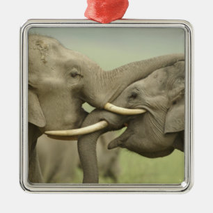 Ornement En Métal Éléphants asiatiques indiens qui jouent à se battr
